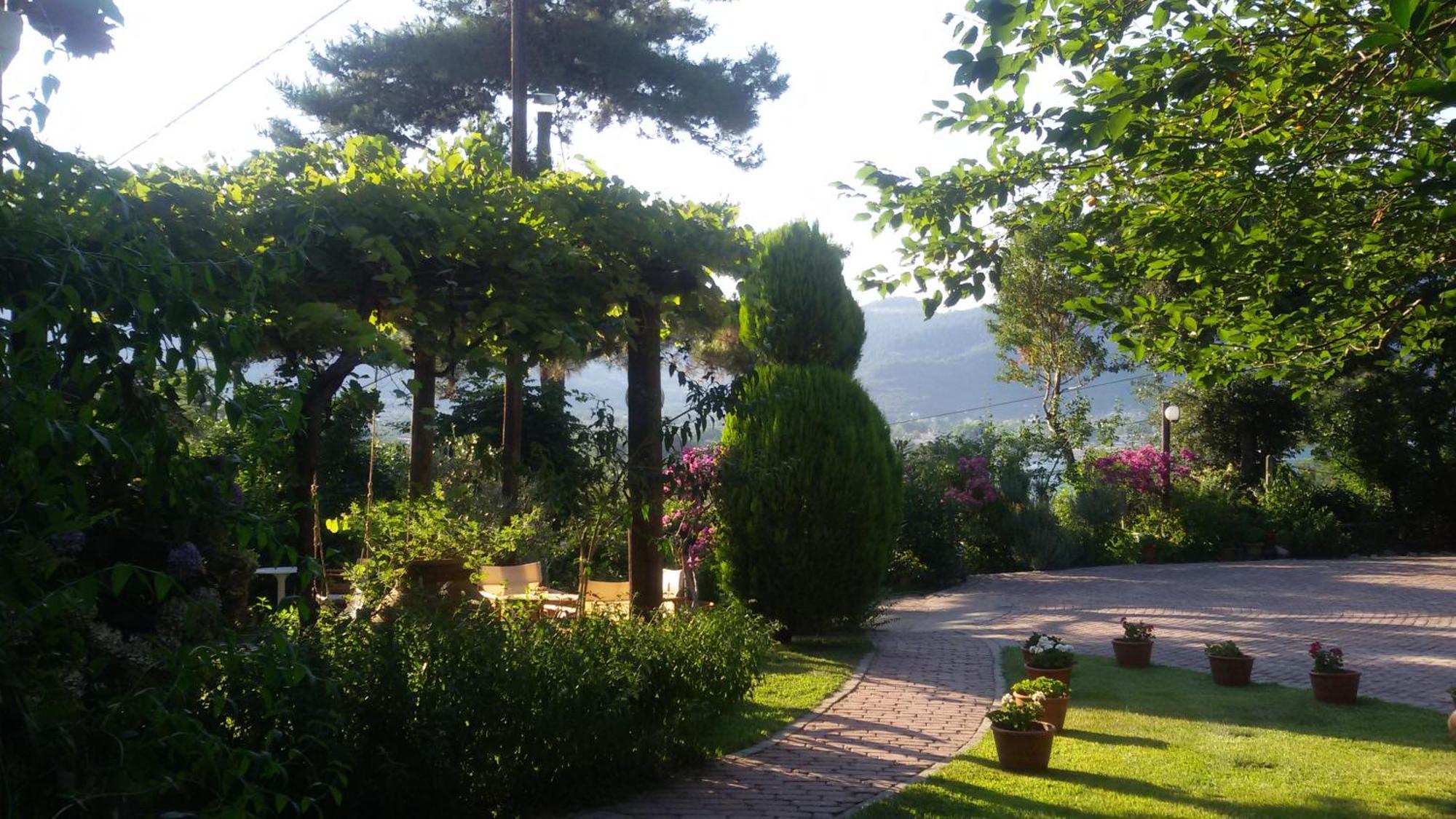 Villa Dimitra Skala Potamia  Ngoại thất bức ảnh